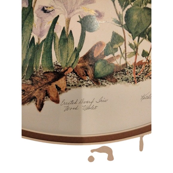Kathleen Wolfe Crested Dwarf Iris Lithograph 28/350 Signed 10" X 13" - Picture 4 of 8